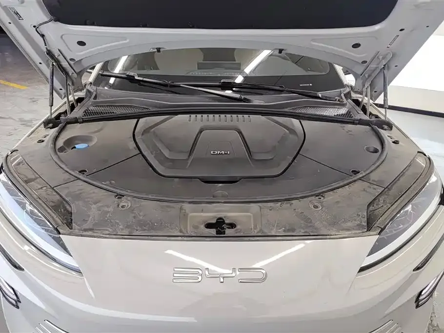 BYD PLUS New Energy 2023 из CN, фото 4
