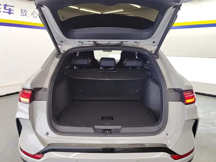 BYD PLUS New Energy 2023 из CN, фото 3