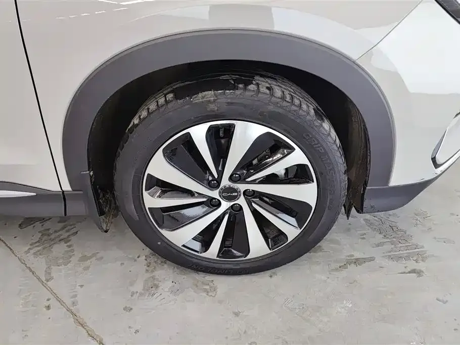 BYD PLUS New Energy 2023 из CN, фото 6