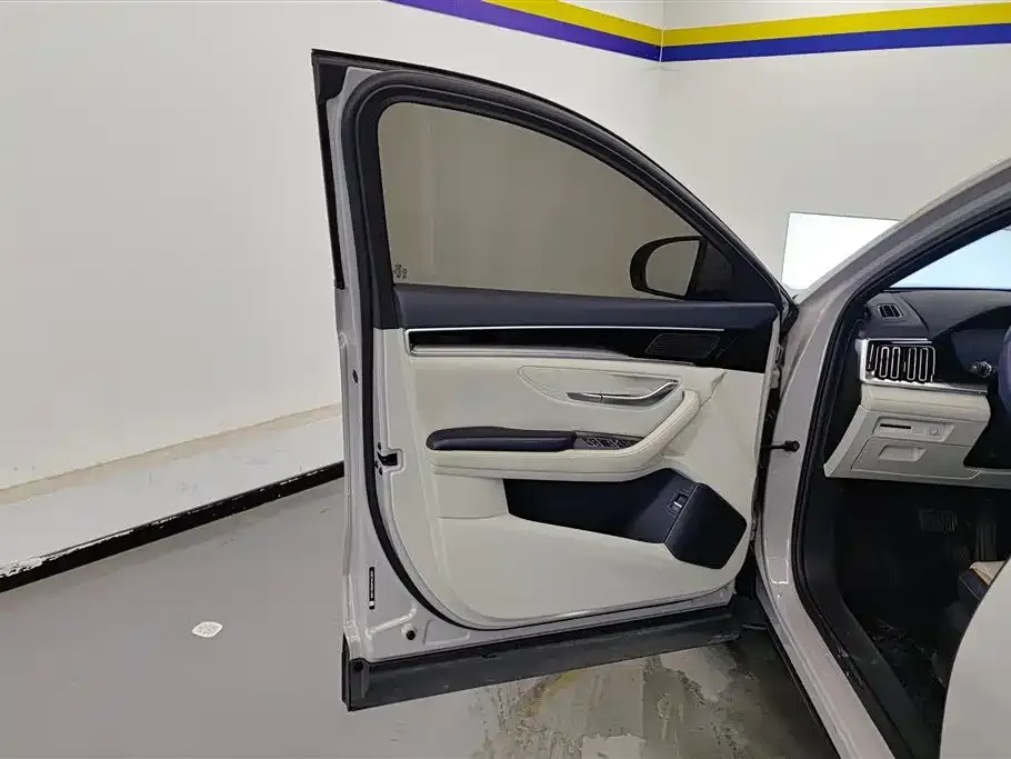 BYD PLUS New Energy 2023 из CN, фото 2