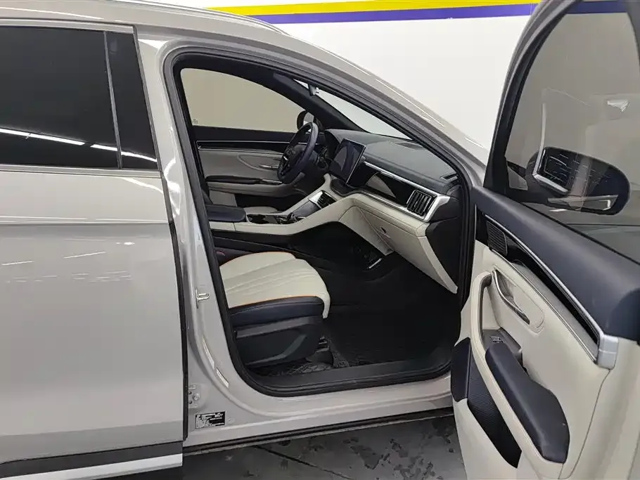 BYD PLUS New Energy 2023 из CN, фото 7