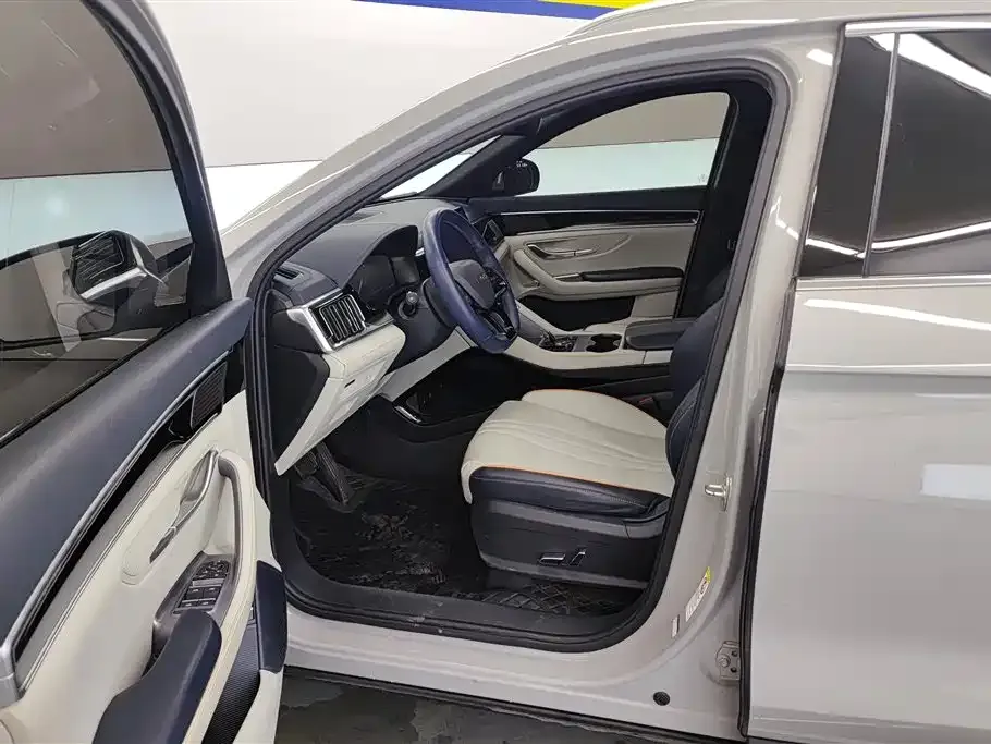 BYD PLUS New Energy 2023 из CN, фото 8