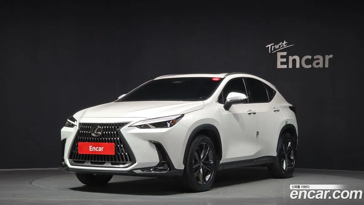 Lexus NX 2025 из KR, фото 1