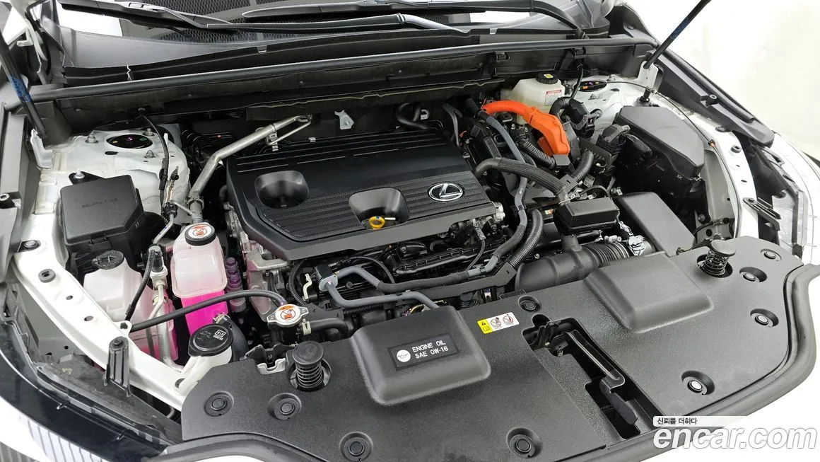Lexus NX 2025 из KR, фото 7