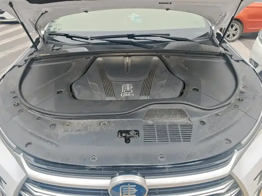 BYD Tang New Energy 2023 из CN, фото 5