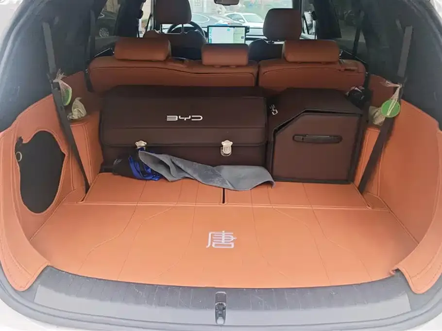 BYD Tang New Energy 2023 из CN, фото 4