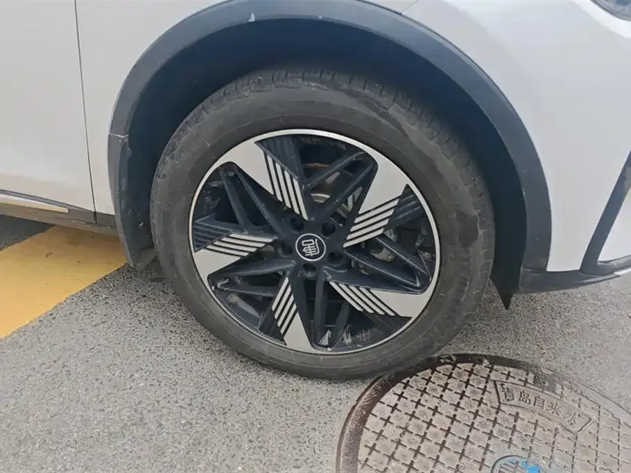 BYD Tang New Energy 2023 из CN, фото 2