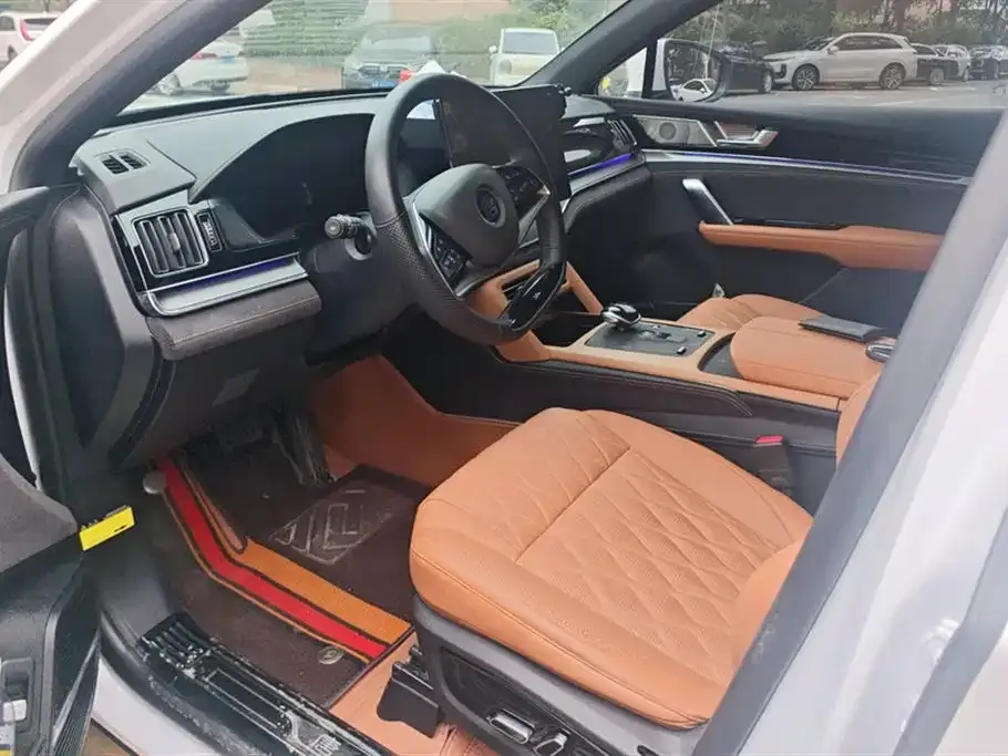 BYD Tang New Energy 2023 из CN, фото 6
