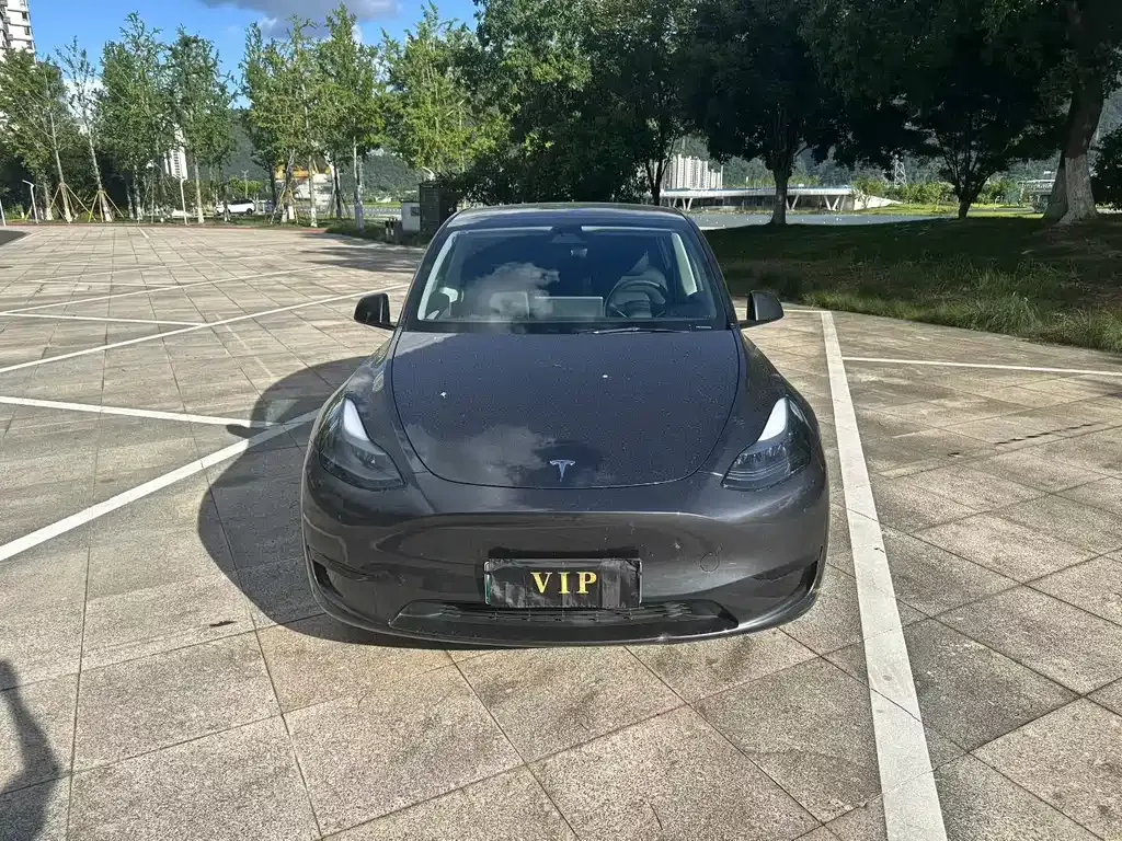 Tesla Model Y 2024 из CN, фото 4