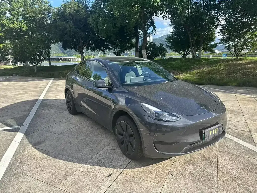 Tesla Model Y 2024 из CN, фото 5