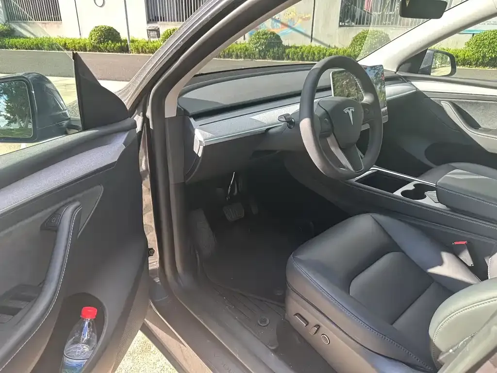 Tesla Model Y 2024 из CN, фото 6