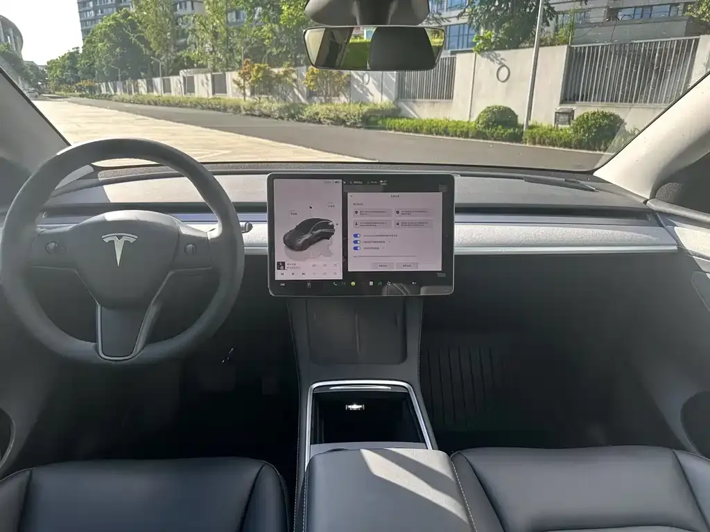Tesla Model Y 2024 из CN, фото 3