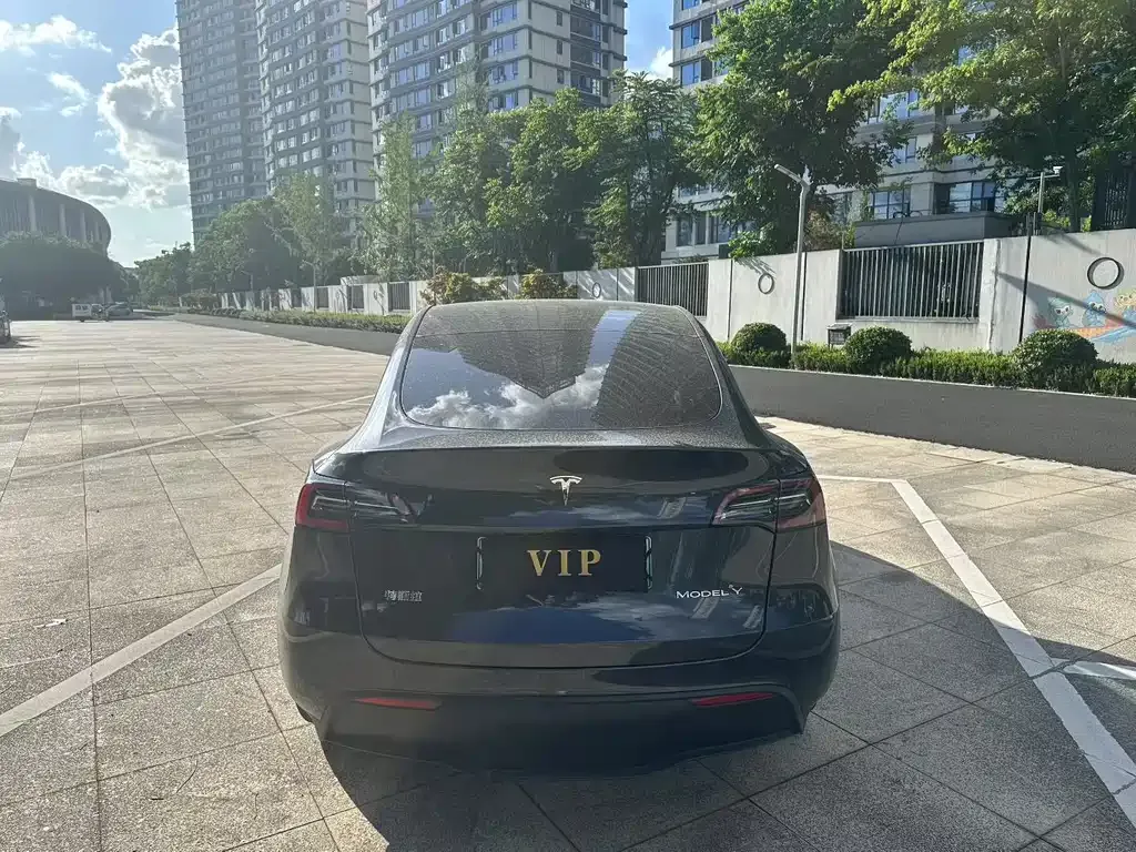 Tesla Model Y 2024 из CN, фото 9