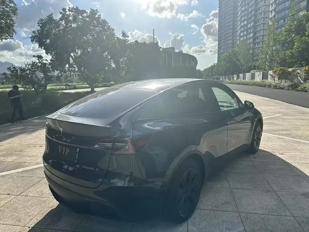 Tesla Model Y 2024 из CN, фото 8