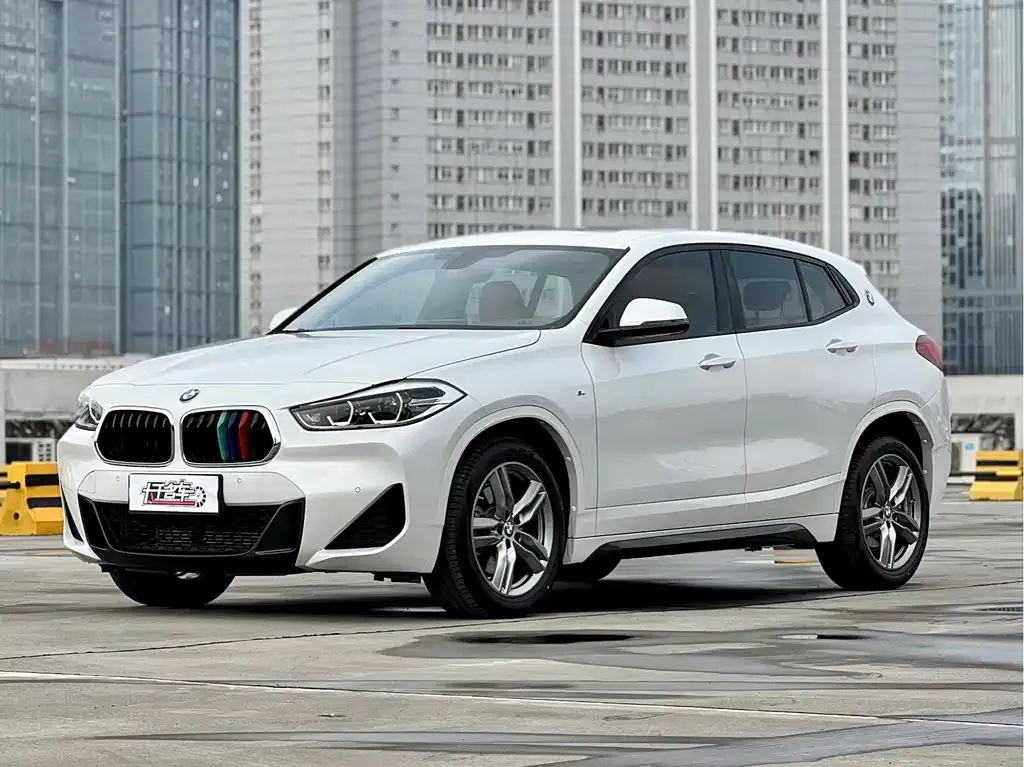 BMW X2 2021 из CN, фото 1