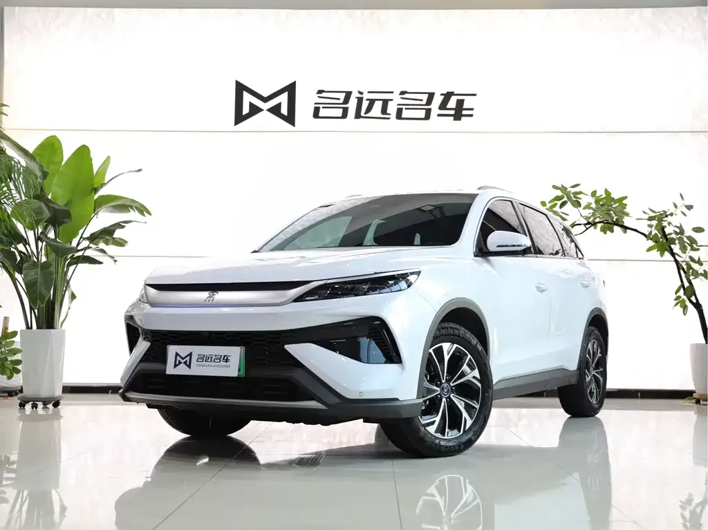 BYD Pro New Energy 2024 из CN, фото 1