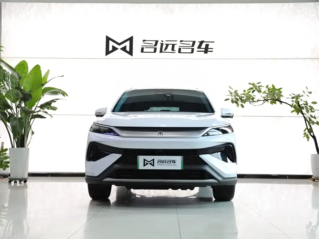 BYD Pro New Energy 2024 из CN, фото 3