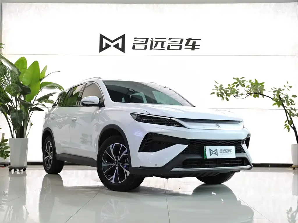 BYD Pro New Energy 2024 из CN, фото 5
