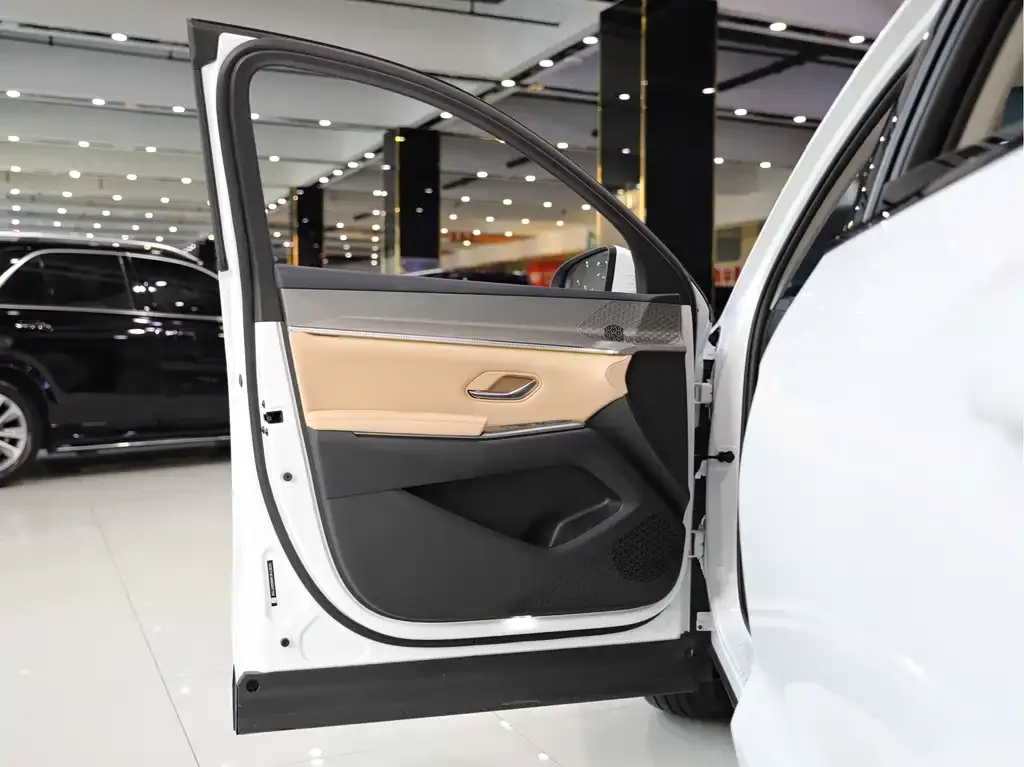 BYD Pro New Energy 2024 из CN, фото 4