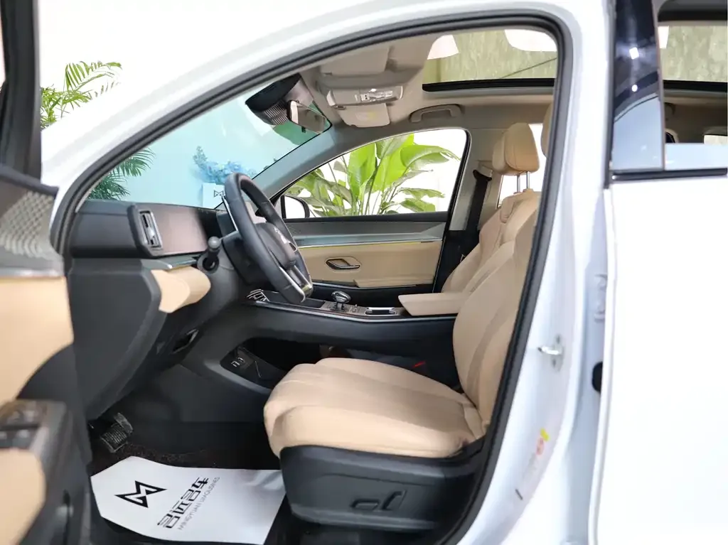 BYD Pro New Energy 2024 из CN, фото 9