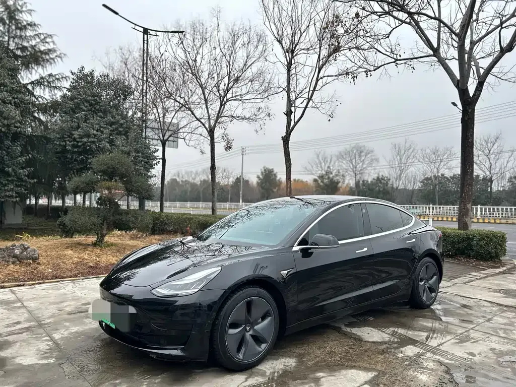 Tesla Model 3 2021 из CN, фото 1