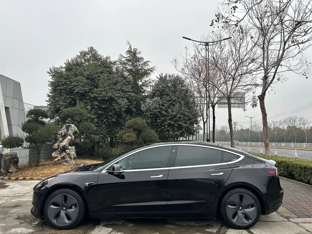 Tesla Model 3 2021 из CN, фото 9