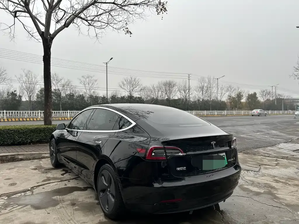 Tesla Model 3 2021 из CN, фото 5