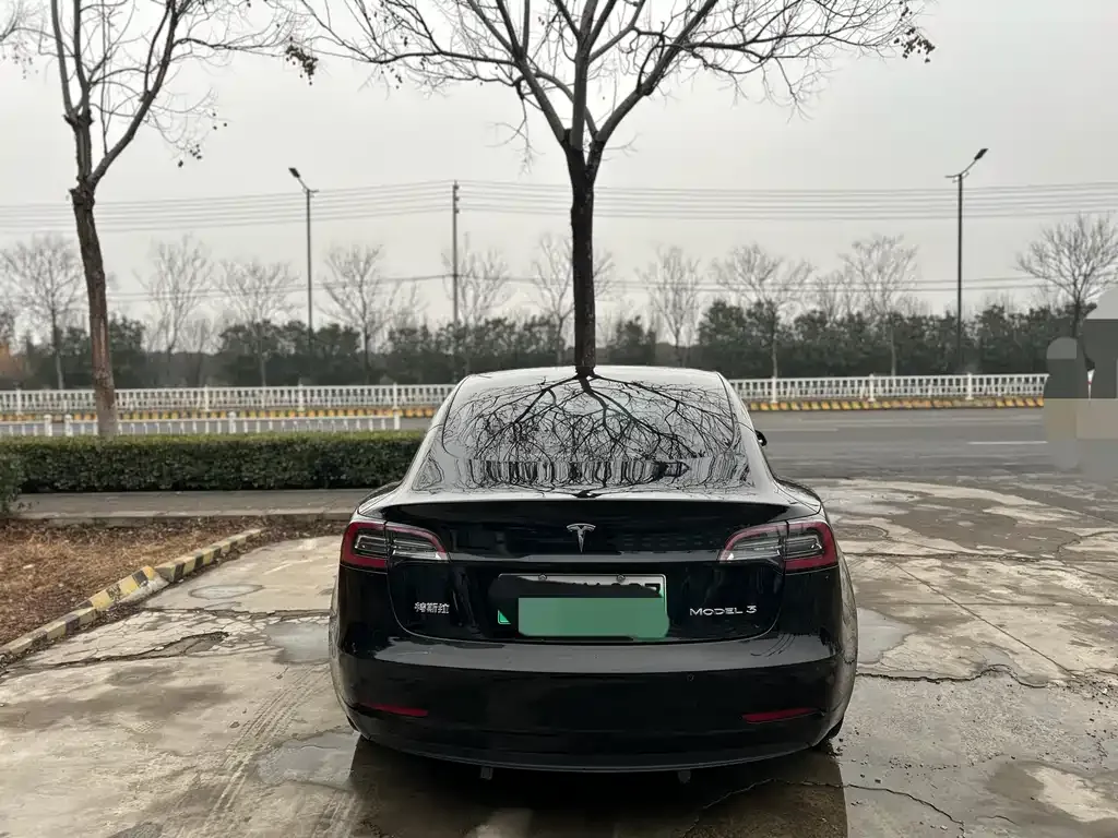 Tesla Model 3 2021 из CN, фото 8