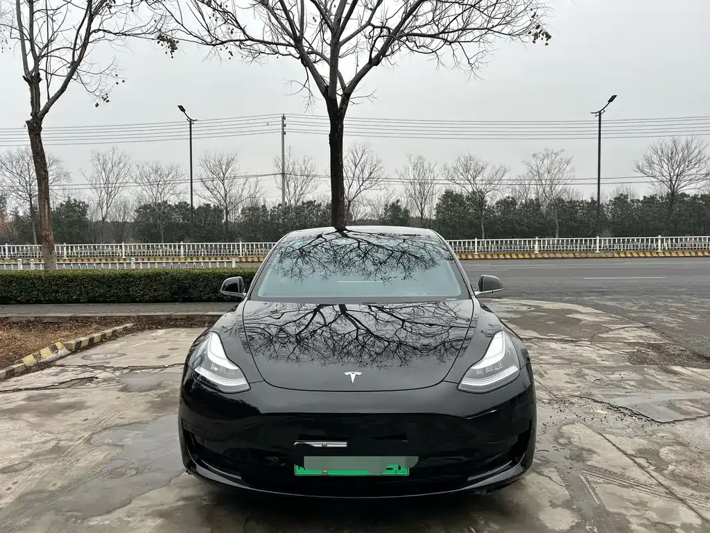 Tesla Model 3 2021 из CN, фото 6