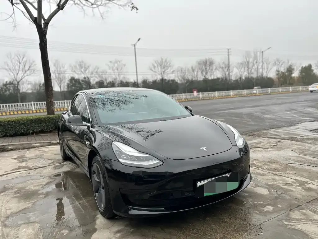 Tesla Model 3 2021 из CN, фото 3