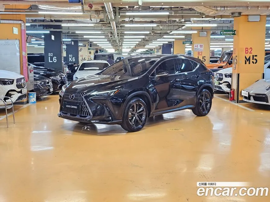 Lexus NX 2025 из KR, фото 1