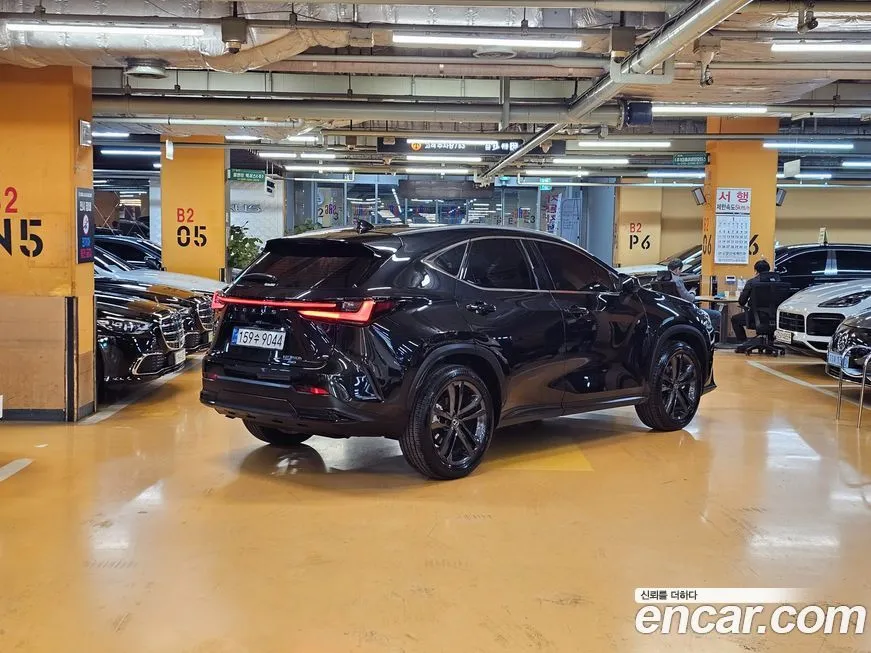 Lexus NX 2025 из KR, фото 8