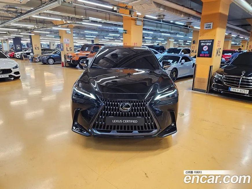 Lexus NX 2025 из KR, фото 3