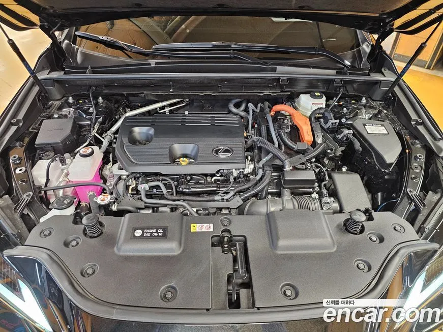 Lexus NX 2025 из KR, фото 5