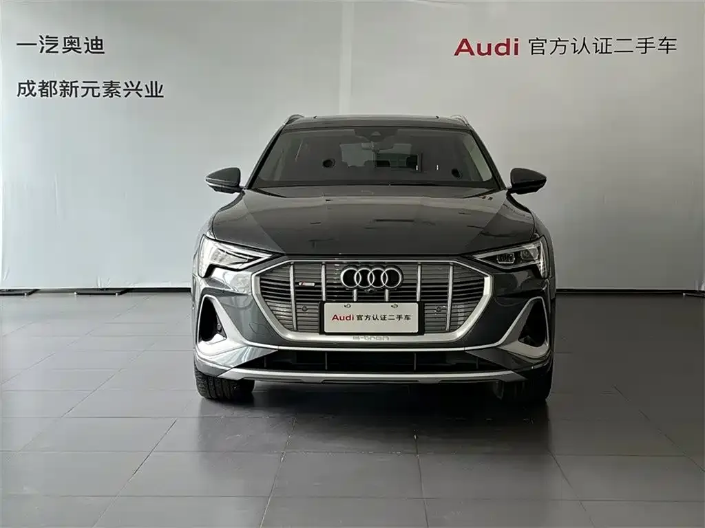 Audi e-tron 2021 из CN, фото 2