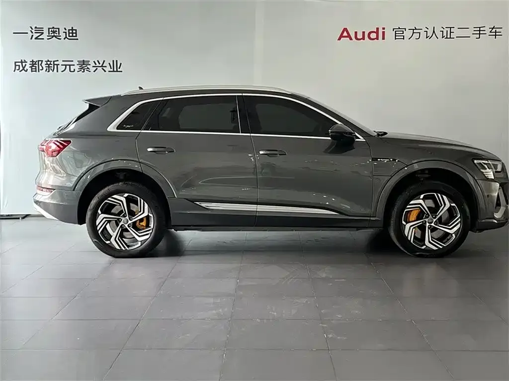 Audi e-tron 2021 из CN, фото 7