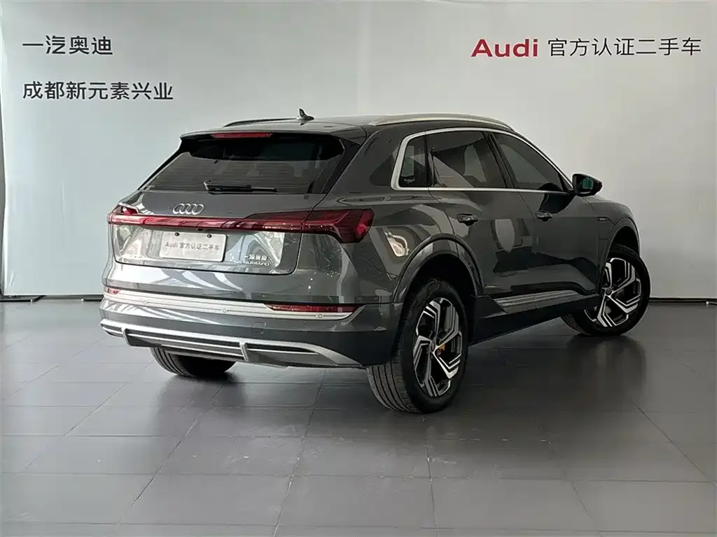 Audi e-tron 2021 из CN, фото 3