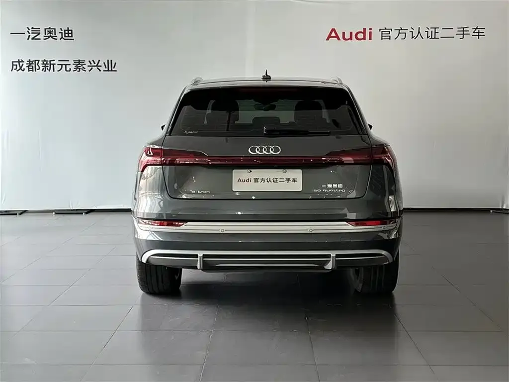 Audi e-tron 2021 из CN, фото 5