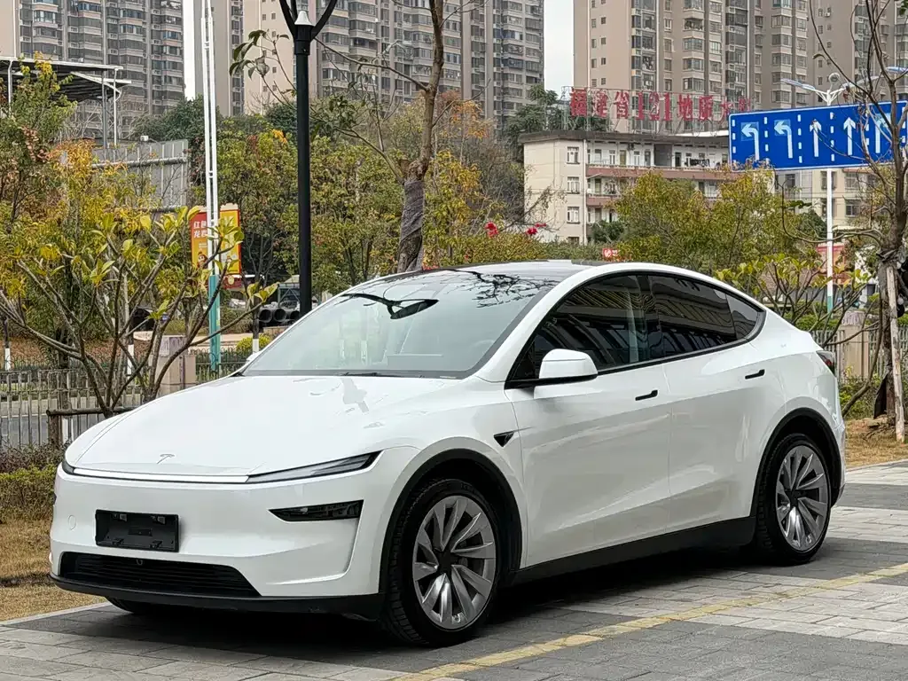 Tesla Model Y — фото 1