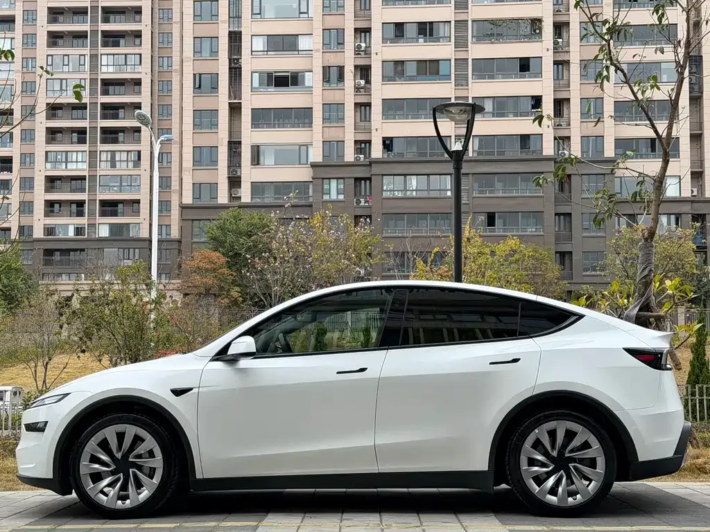 Tesla Model Y — фото 9