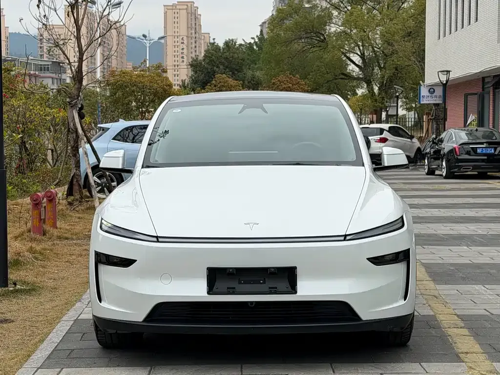 Tesla Model Y — фото 8
