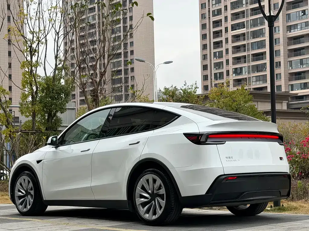 Tesla Model Y — фото 6