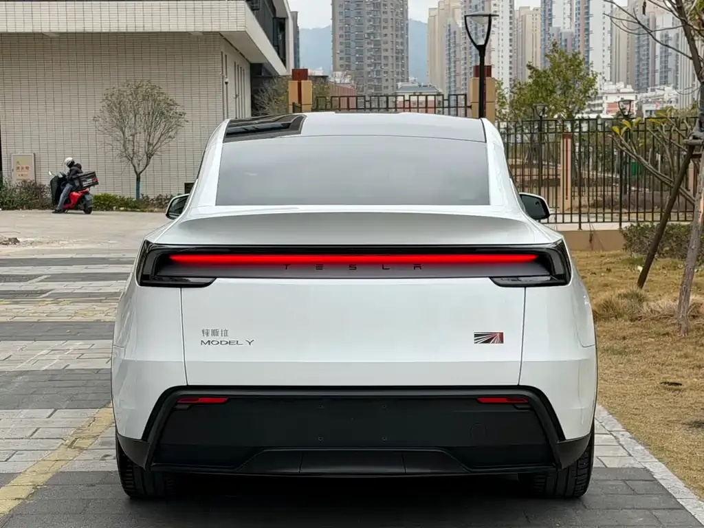 Tesla Model Y — фото 5
