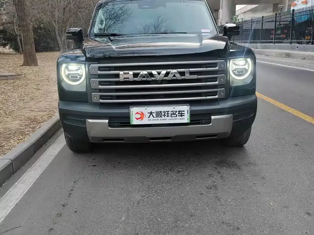 Haval Menglong New Energy 2023 из CN, фото 5
