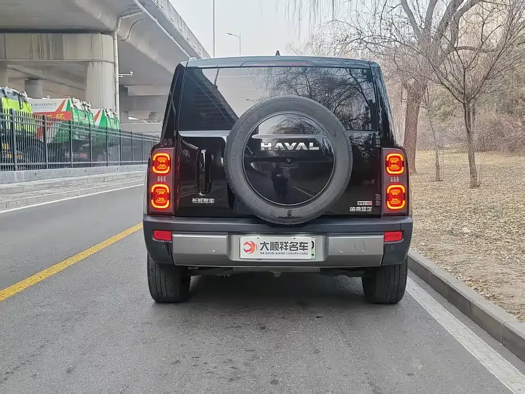 Haval Menglong New Energy 2023 из CN, фото 6