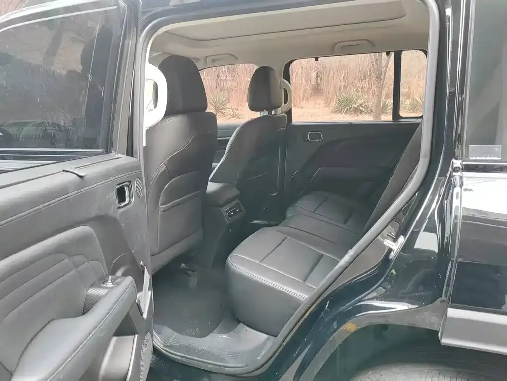 Haval Menglong New Energy 2023 из CN, фото 4