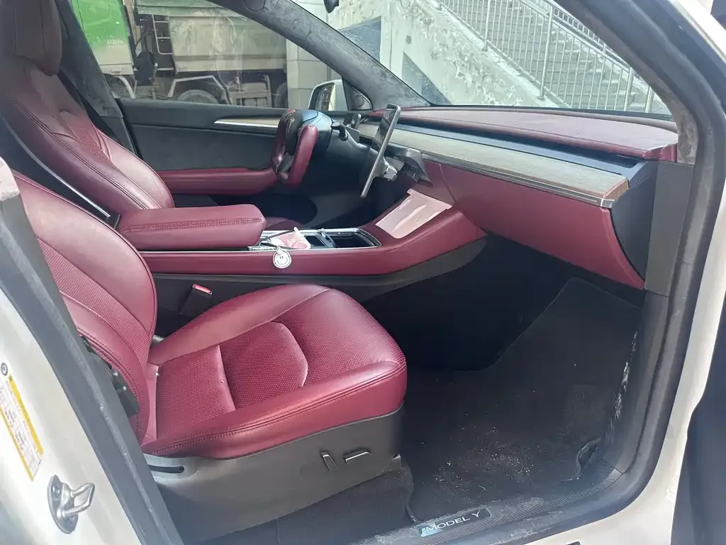 Tesla Model Y 2023 из CN, фото 3