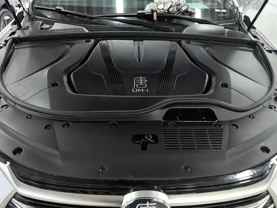 BYD Tang New Energy 2024 из CN, фото 4
