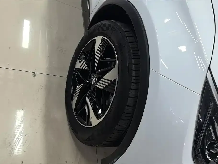 BYD Tang New Energy 2024 из CN, фото 8