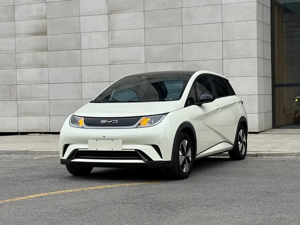 BYD Dolphin 2023 из CN, фото 1